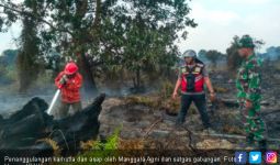 KLHK: Karhutla Riau Diperparah Kondisi Cuaca Kering - JPNN.com