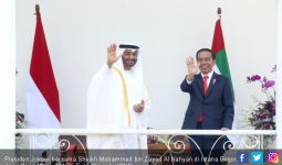 Jokowi Ternyata Punya Kedekatan dengan Putra Mahkota Abu Dhabi - JPNN.com