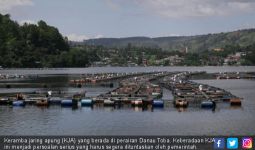 Keramba Jaring Apung Bisa Hambat Status Danau Toba sebagai Warisan Geologi - JPNN.com