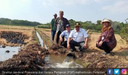 Kementan Imbau Petani Membuat Sodetan Sungai untuk Hadapi Kekeringan - JPNN.com
