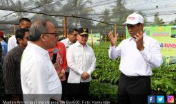 Ekspor Produk Pertanian Indonesia Terus Meningkat - JPNN.com