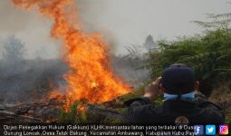 KLHK Tetapkan UB Sebagai Tersangka Karhutla 274 Hektare di Kubu Raya Kalbar - JPNN.com