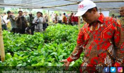 Pembangunan Pertanian Tepat, Produksi dan Kesejahteraan Meningkat - JPNN.com