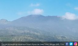Hutan di Jatim Terbakar, Kabut-Angin Kencang Hambat Operasi Pemadaman Udara - JPNN.com
