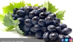 5 Khasiat Anggur Hitam, Bikin Penyakit Ini Ogah Mendekat - JPNN.com