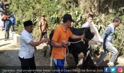 Ugurampe, Ritual Penyembelihan Hewan Kurban di Desa Bumiaji - JPNN.com