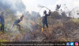 Sehari, Dua Kali Kebakaran Lahan di Samarinda, 17 Hektare sudah Ludes Terbakar - JPNN.com