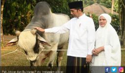 Tak Mau Merembet ke Mana-Mana, Jokowi Tolak Keinginan PDIP - JPNN.com