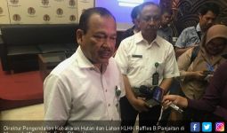 Data Terbaru KLHK soal Area Terdampak Karhutla 2019, NTT Paling Luas - JPNN.com