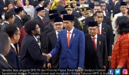 Senator Papua Barat Dukung Rencana Presiden Jokowi - JPNN.com