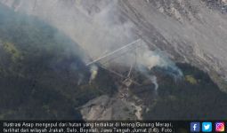Hutan Lereng Merapi Terbakar, Tak Jelas Penyebabnya - JPNN.com