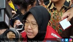 Wanita Sangat Tegas Dari Pulau Jawa Akan Segera Memimpin Jakarta, Bu Risma? - JPNN.com