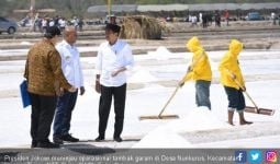 Kunjungi NTT, Jokowi Ingin Pastikan Tambak Garam Sudah Berproduksi - JPNN.com