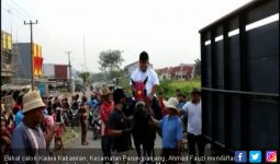 Calon Kepala Desa Ini Menunggangi Kuda Seharga Rp 2 Miliar - JPNN.com