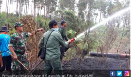 Hotspot Naik, KLHK Gencarkan Water Booming di Kalimantan - JPNN.com