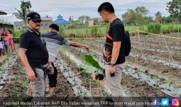 Perempuan Tanpa Busana dan Telinga Berdarah Ditemukan Tewas di Ladang Timun - JPNN.com