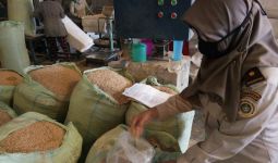 Tongkol Jagung Sumatera Utara Diminati Pasar Jepang - JPNN.com