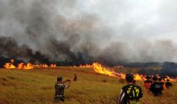 Diduga akibat Puntung Rokok, 100 Hektare Lahan Ilalang Ludes Terbakar - JPNN.com