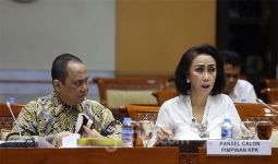 Pansel Capim KPK Minta Maaf saat Rapat dengan DPR, Soal Apa ya? - JPNN.com