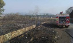 Kebakaran Lahan di Bogor Meluas, Ini Penyebabnya - JPNN.com