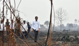 Blusukan ke Lokasi Karhutla Tanpa Mengenakan Masker, Jokowi: Besar Sekali - JPNN.com