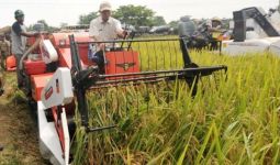 Kemajuan Sektor Pertanian jadi Harapan Ekonomi Indonesia - JPNN.com