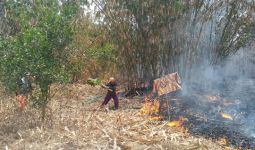 Warga Panik, 10 Hektare Lahan Gunung Cipicung Terbakar - JPNN.com