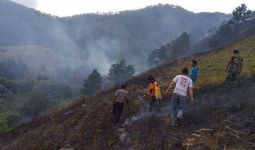 Hutan Seluas 20 Hektare di Kawasan Danau Toba Terbakar - JPNN.com
