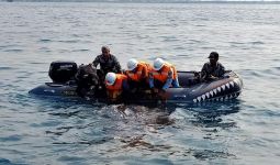 Profauna Indonesia Apresiasi Penyelamatan Hiu Paus Paitonah - JPNN.com