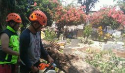 Puluhan Makam di Bogor Tertimpa Pohon Petai - JPNN.com
