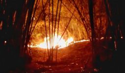 Lahan Gunung Lagadar Bandung Terbakar - JPNN.com