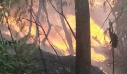Api dari Tumpukan Sampah Membakar Lima Rumah - JPNN.com