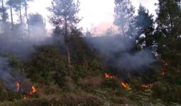 Hutan di Gunung Merapi Terbakar - JPNN.com