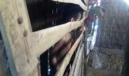  Miris..Anak Ini Hidup di Kandang Ayam Dekat Rumah Orang Tuanya - JPNN.com