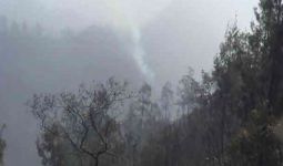 Hutan Penanjakan Wisata Gunung Bromo Terbakar - JPNN.com