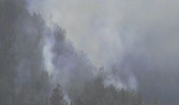 Hutan Gunung Semeru Terbakar Kena Guguran Lava - JPNN.com