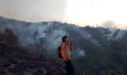 Kebakaran Lahan di Kabupaten Bandung Mencapai 226 Hektare - JPNN.com