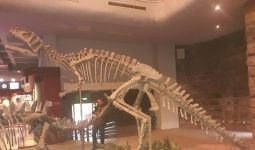 Jejak Kaki Dinosaurus Berusia 100 Juta Tahun Ditemukan di Tiongkok - JPNN.com