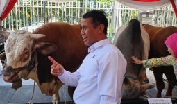 Populasi Sapi Indonesia Meningkat 5 Juta Ekor - JPNN.com