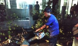 Pelajar Terluka Akibat Pohon Tumbang - JPNN.com