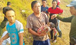 Bayi Tanpa Anus Dibuang Ibunya di Saluran Air Pinggir Jalan Tol Cisumdawu - JPNN.com