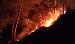 Perhutani Diminta Tanggung Jawab Dampak Kebakaran Hutan Cikuray Garut - JPNN.com