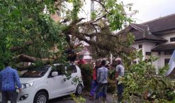Bruk, Mobil Tertimpa Pohon Besar, Yati Tidak Mengalami Luka - JPNN.com