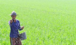Petani Diimbau Manfaatkan Asuransi Pertanian - JPNN.com