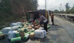 Kecelakaan Maut di Jalinsum Tarahan, Satu Keluarga Tewas Ditabrak Truk - JPNN.com