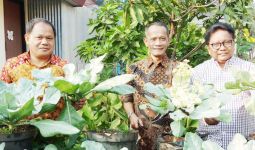 BKP Kementan Mengembangkan KRPL menjadi Family Farming - JPNN.com