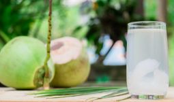 7 Efek Samping Minum Air Kelapa Berlebihan, Bikin Penderita Diabetes Resah - JPNN.com