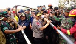 Menteri LHK Siti Nurbaya Ungkap Terobosan Pemerintah Hadapi Karhutla di 2020 - JPNN.com