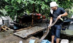 Detik-Detik Ular Piton Muncul di Tengah Warga - JPNN.com