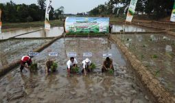 Petrokimia Gresik Gencarkan Sosialisasi Pupuk Organik Jelang Musim Tanam - JPNN.com